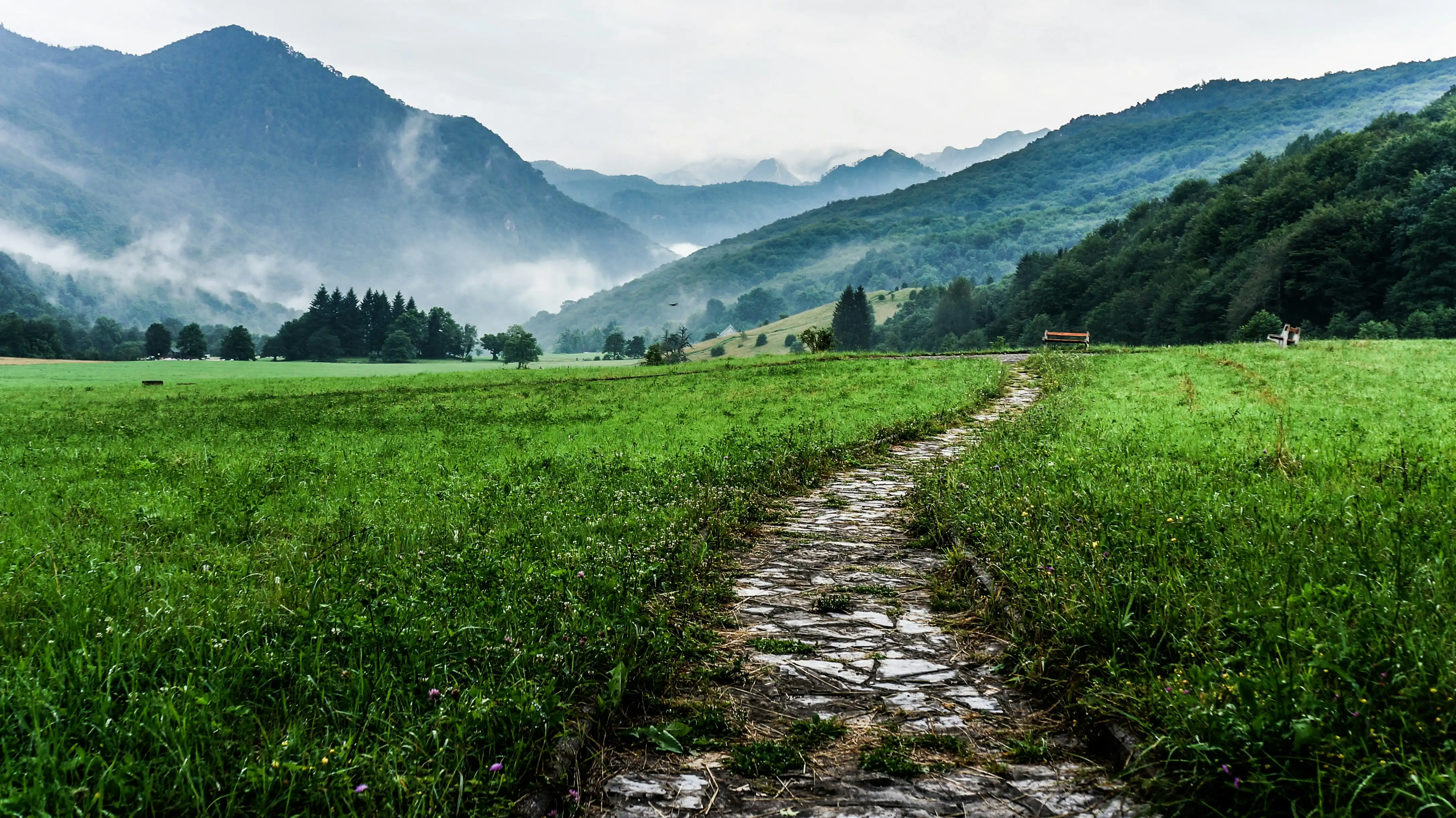 Pfad führt durch die regnerischen Berge